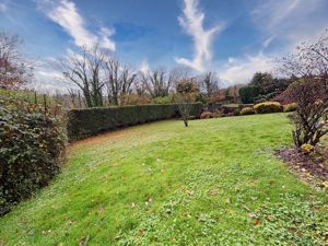 Photo 46- click for photo gallery